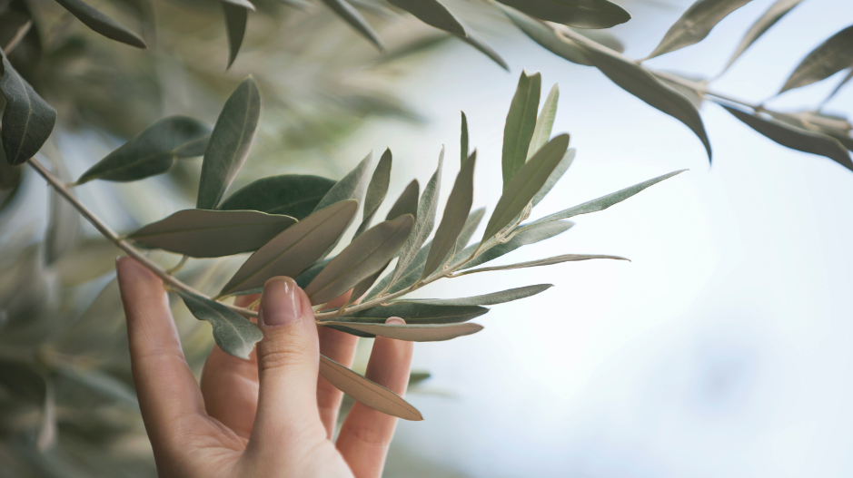 Sowing the Seeds of Sustainability