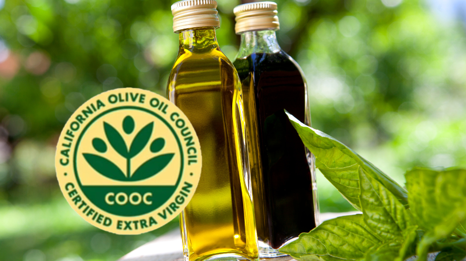 The Craft of California's Certified Olive Oils