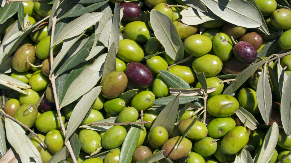 Extra Virgin Olive Oil: The Health Benefits and Biofood Availability