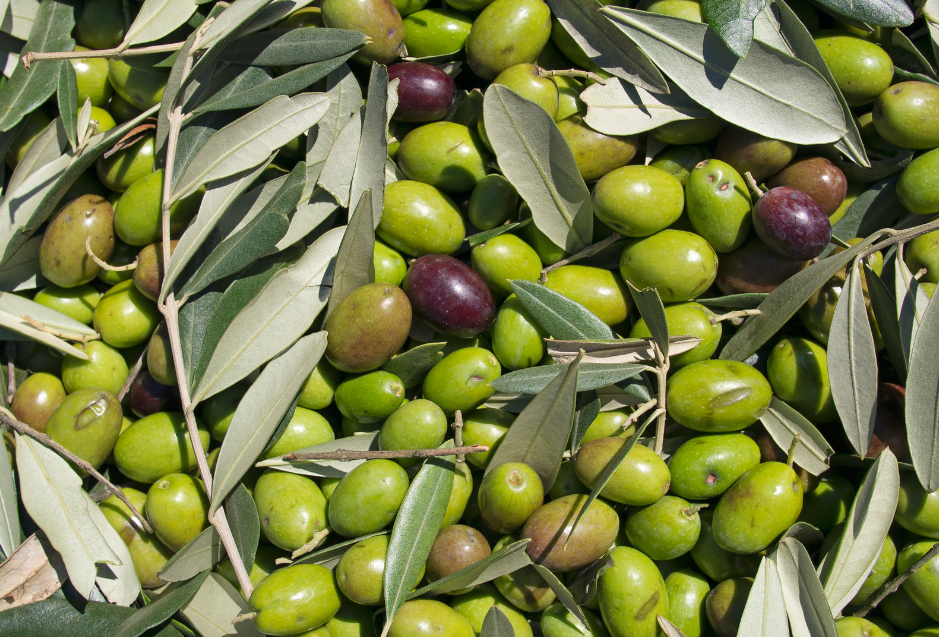 Extra Virgin Olive Oil: The Health Benefits and Biofood Availability