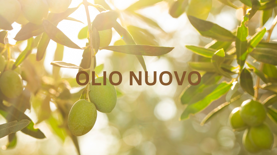 WARNING: Once You Taste This, You'll Never Settle for Ordinary Olive Oil Again!