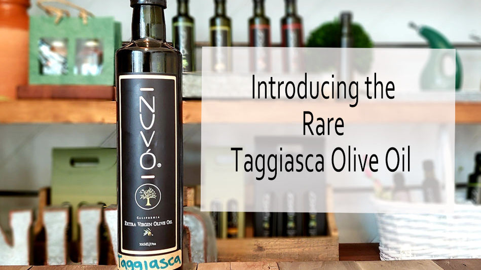 The Taggiasca Olive – A Rare Gem Grown for Greatness