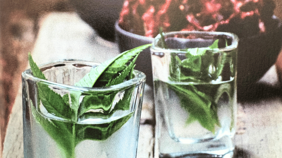 White Balsamic Negroni - The Perfect Summer Cocktail