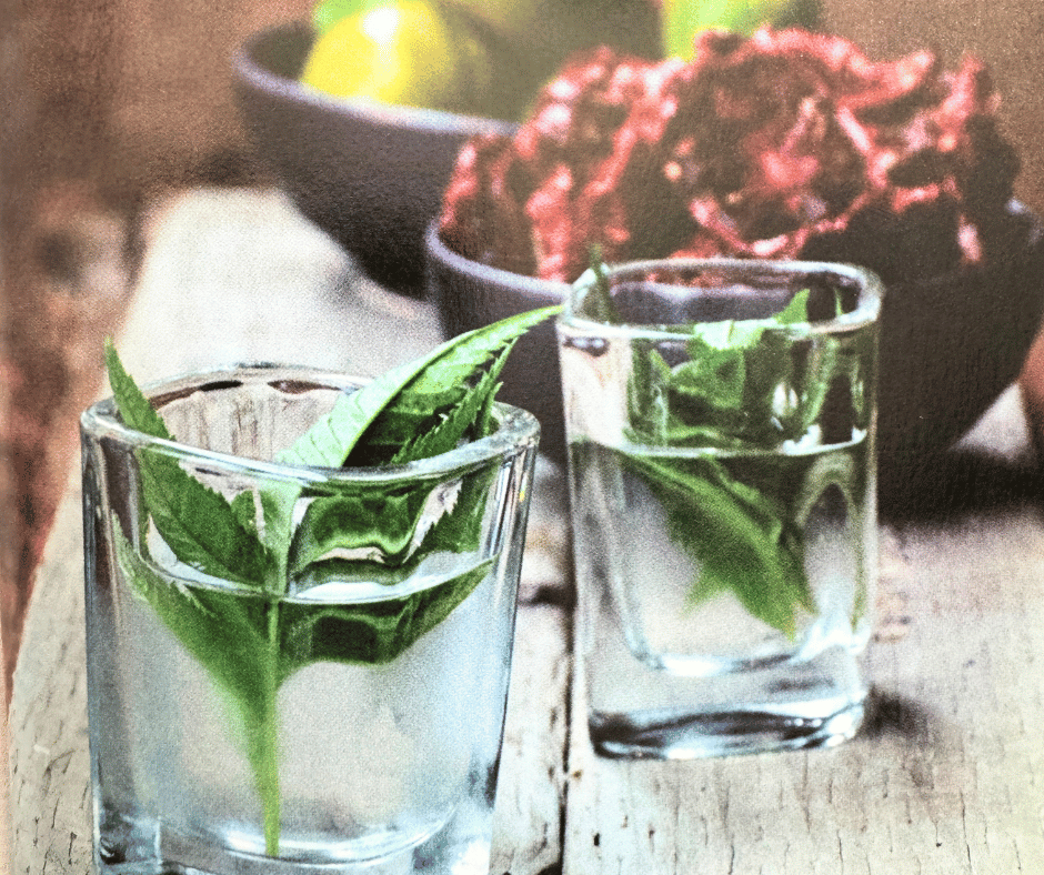 White Balsamic Negroni - The Perfect Summer Cocktail