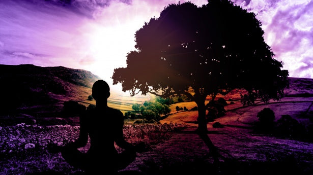 Health Benefits of The Yogic Diet and Olive Oil