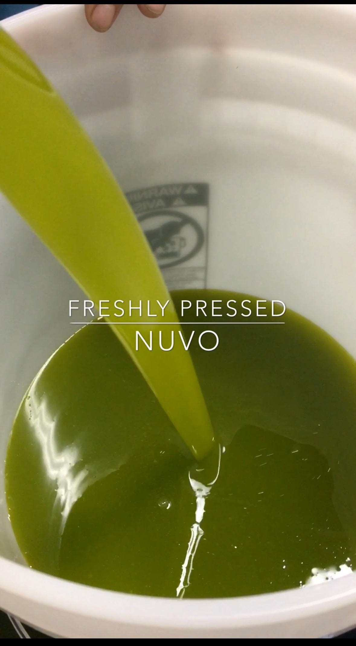 OLIO NUOVO - EVOO – 2024 Limited Edition.