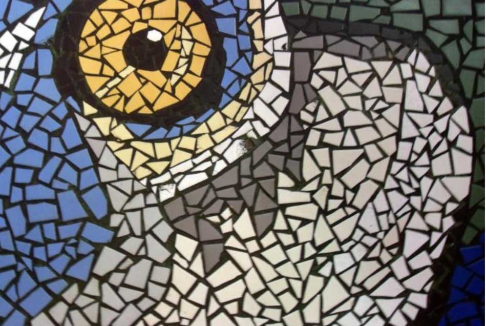 Mediterranean Food and Olive Oil Cuisine