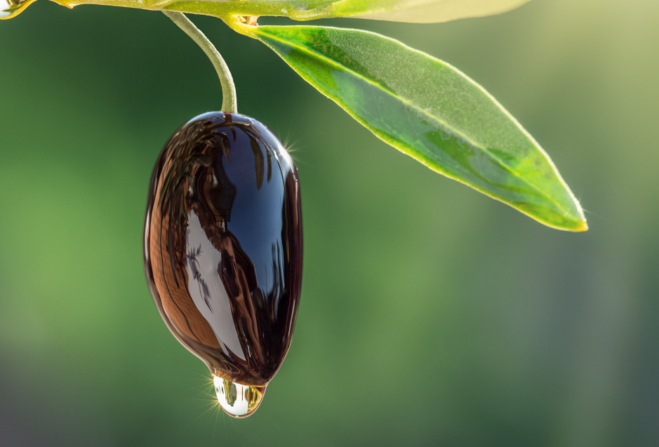 Mastering the Art of Olive Oil Selection: A Consumer's Guide