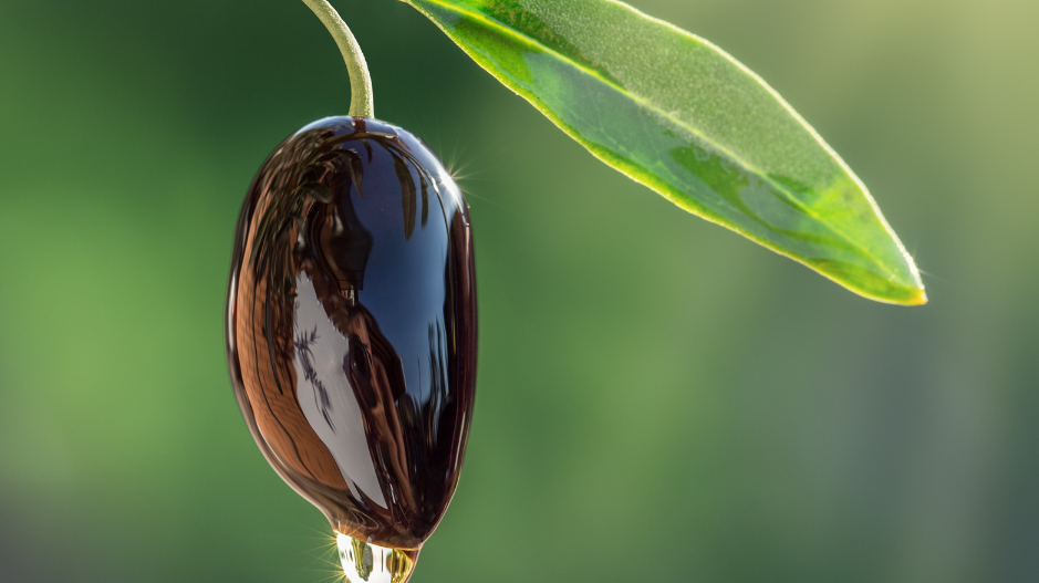 Mastering the Art of Olive Oil Selection: A Consumer's Guide