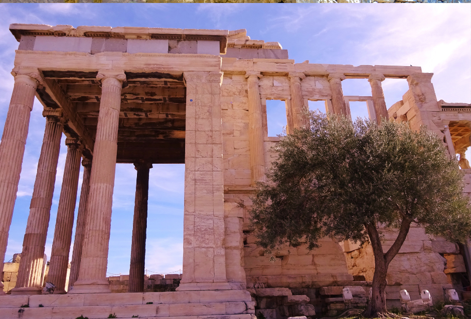 From Ancient Roots to Our Californian Soil - Making of Olive Oils