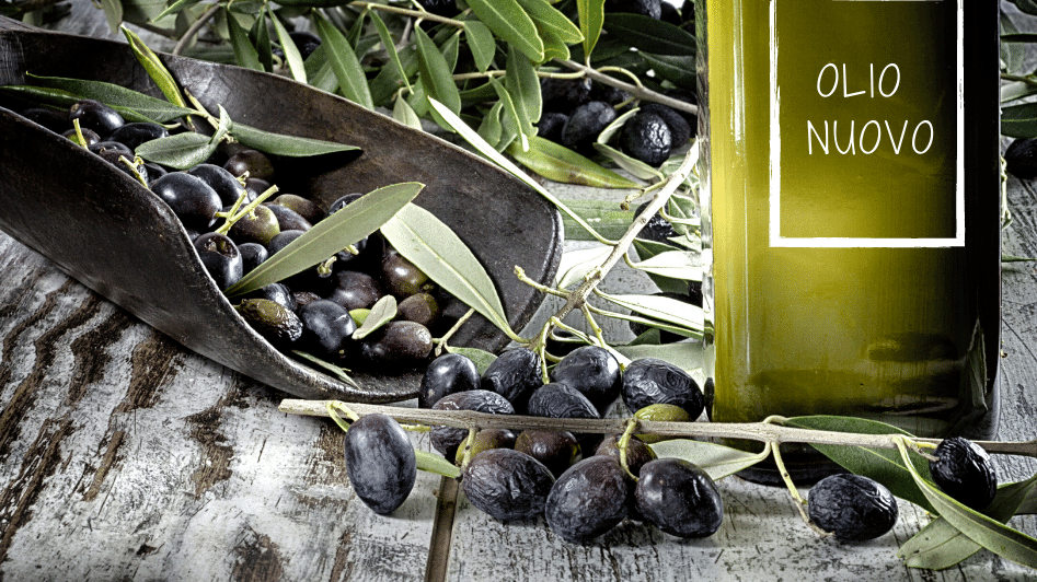 The Freshest Olive Oil of the Season is Olio Nuovo – “New Oil”