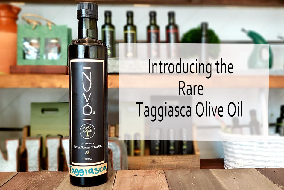 The Taggiasca Olive – A Rare Gem Grown for Greatness