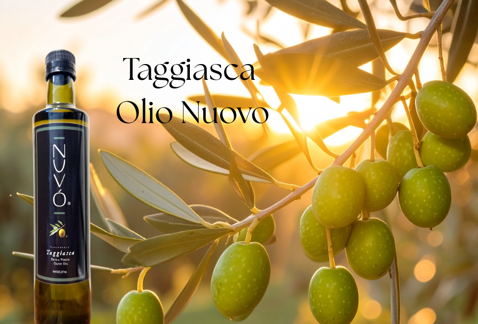 Olio Nuovo — The Freshest Olive Oil You’ll Taste All Year