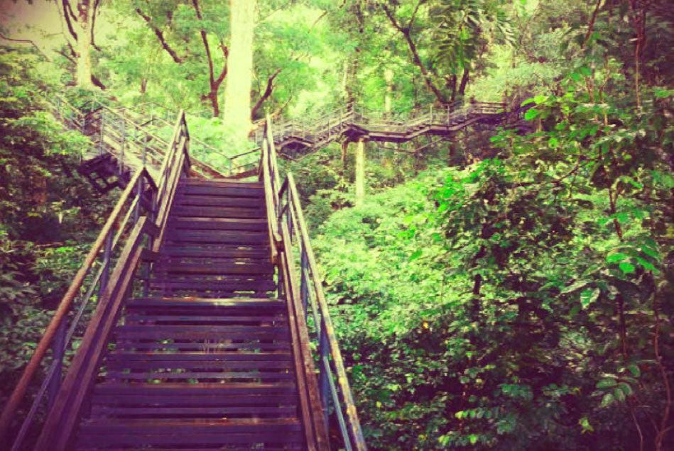 Boosting The Metabolism With Good Olive Oil