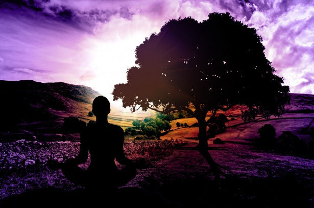 Health Benefits of The Yogic Diet and Olive Oil 