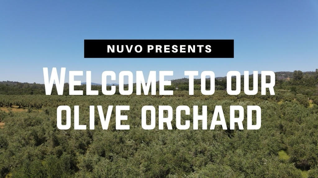 Fused Olive Oil – Tuscan Blend - Garilc, Rosemary,Thyme – Nuvo